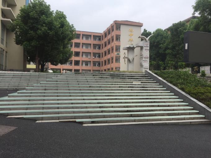Escada antiderrapante da segurança luminescente que cheira para a escola secundária superior 1